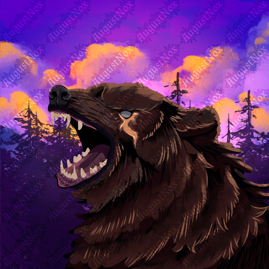 Kilokai Bear Drawing