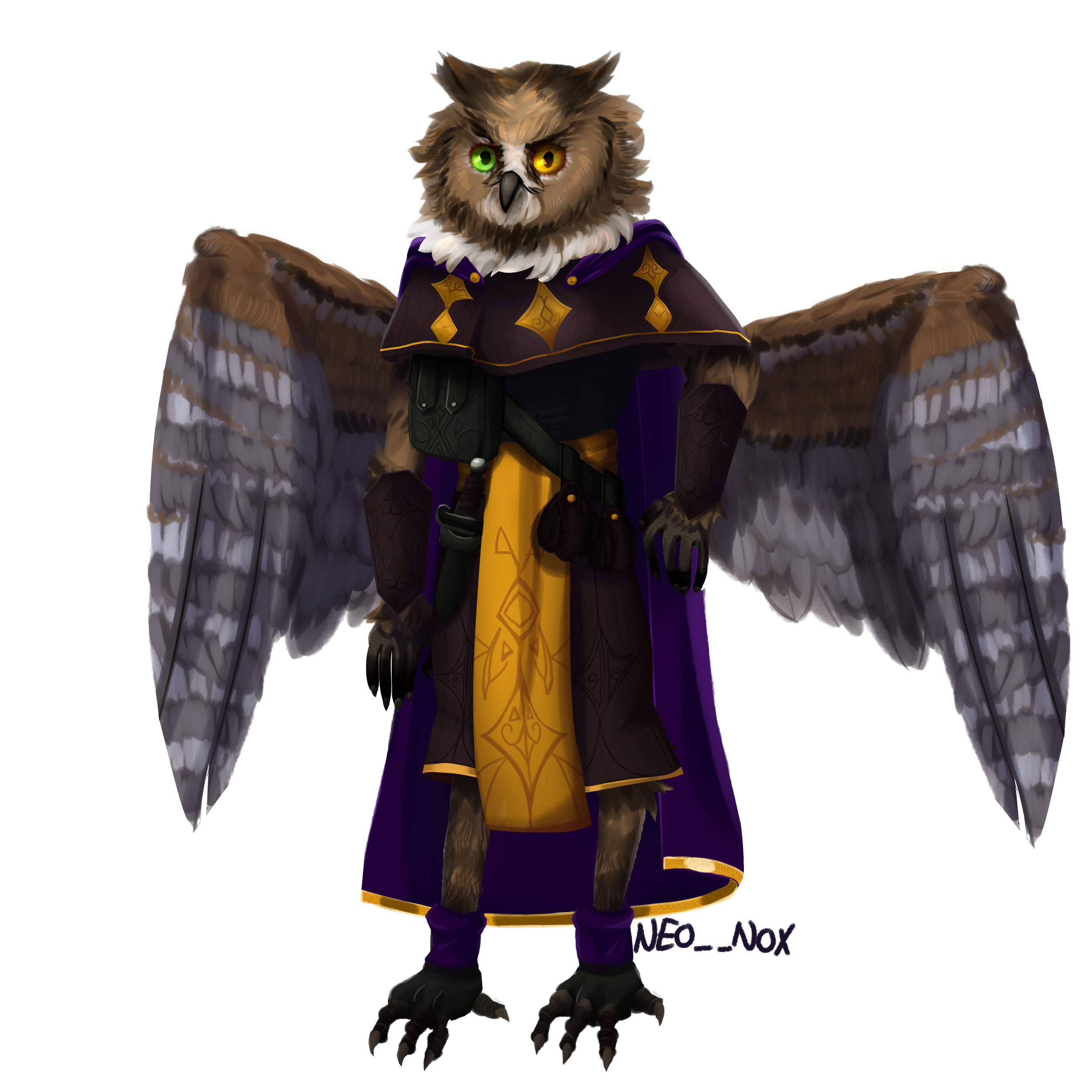 a dungeons and dragons character, an owlin in generic wizard clothing minus the hat